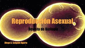 Tipos de Reproducción Asexual