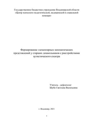 опыт работы с детьми с РАС