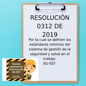 CARTILLA RESOLUCIÓN 0312 2019