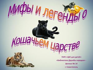 дикие кошки