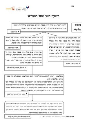 Tisha BeAv that Falls on Motzei Shabbat - Sources #1