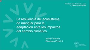 La resiliencia del ecosistema de manglar para la adaptación ante los impactos del cambio climático
