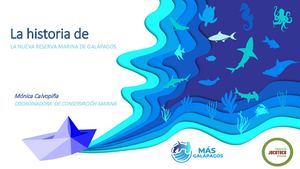 Creación de la Reserva Marina Hermandad