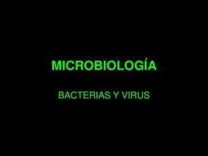 Procariota Bacterias