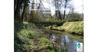 Projet Renaturation Mérantaise 2022