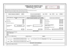 RUES GAES 4 Xls - RUES PERSONA JURIDICA O NATURAL