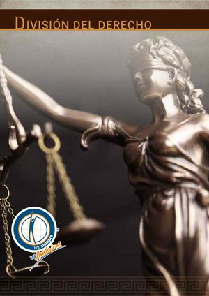 División Del Derecho