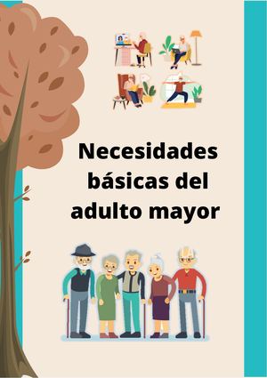 Necesidades Básicas Del Adulto Mayor