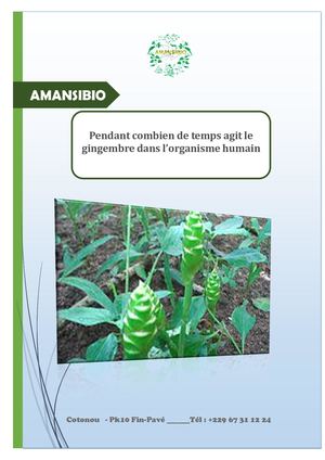 Pendant Combien De Temps Agit Le Gingembre Dans L’organisme Humain