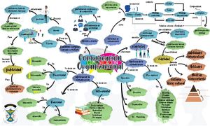 3 2 Mapa Mental S2 Paez Sanchez Sergio Alejandro