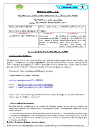 Ficha De Prueba De Campo