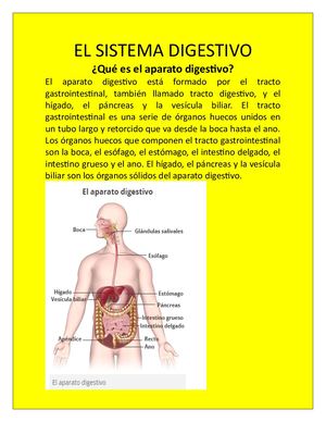 El Sistema Digestivo