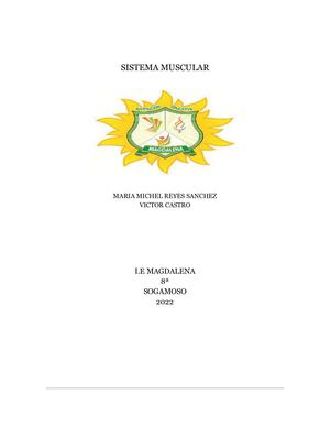 Sistema Muscular