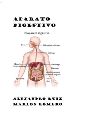 Aparato Digestivo 1