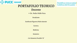 Portafolio Teorico