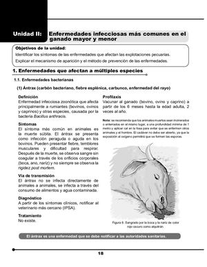 Manual De Sanidad Animal Part2