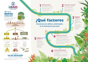 Sesion 19 Infografía Usaud Delitos Ambientales