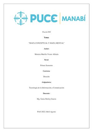 Inseguridad Mapa Mental Y Conceptual