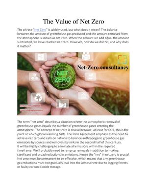The Value Of Net Zero