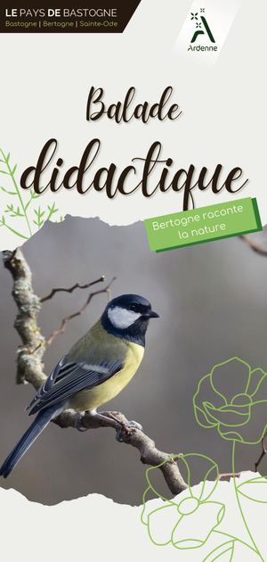 Balade Didactique de Bertogne