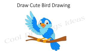 Draw Cute Bird Drawing