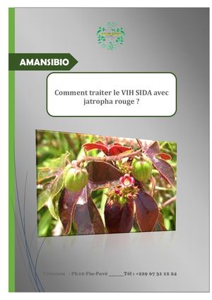 Comment Traiter Le Vih Sida Avec Jatropha Rouge