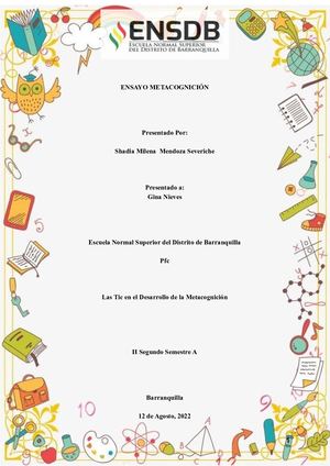 Metacognición Shadia Mendoza 2022 2