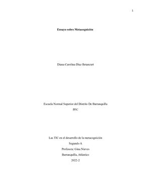 Ensayo Sobre La Metacognición Diana Díaz