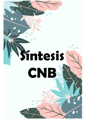 Cuadro De Sintesis Cnb