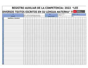 Registros Auxiliares Comunicación