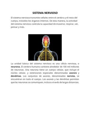 SISTEMA NERVIOSO