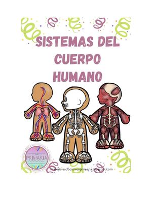 sistemas del cuerpo