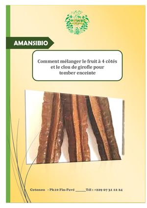 Comment Mélanger Le Fruit à 4 Côtés Et Le Clou De Girofle Pour Tomber Enceinte