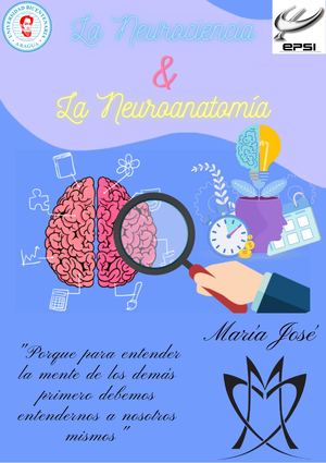 Revista De Neurociencia & Neuroanatomía