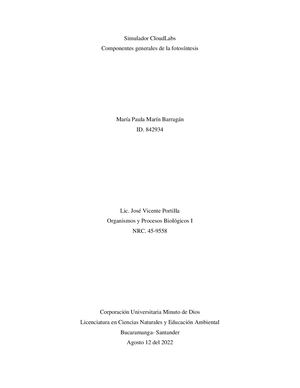 Simulador De La Fotosíntesis