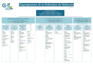 Médecine Organigramme - 05 08 2022