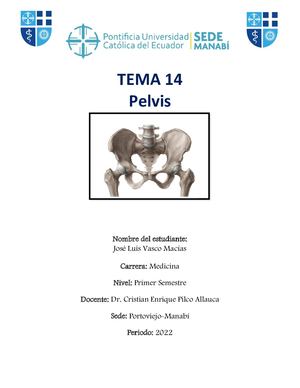 Organizador Gráfico Pdf