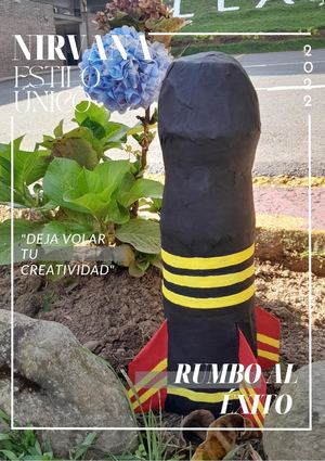 Revista Proyecto Cohete (2)