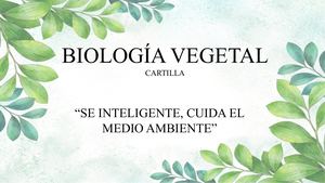 Cartilla Tejidos Y Organos Vegetales