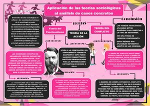 Aplicación de las teorías sociológicas  al análisis de casos concretos