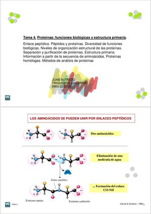 Tema4 Proteinas Albun