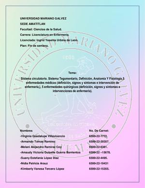 Sistema circulatorio y tagumentario, Grupo 2
