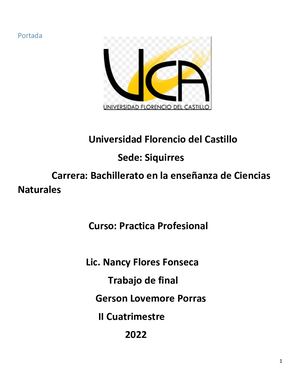 Trabajo Practica Profesional