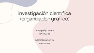 Organizador Grafico 2