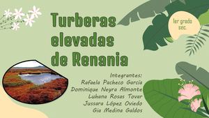 Turberas Elevadas de Renania