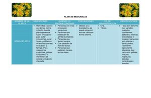 Platas Medicinales Caseras