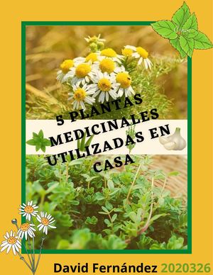 Revista Digital Plantas Medicinales