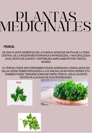 Grey Black White Photo Centric Photography Personal Interests Zine