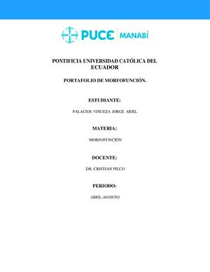 Portafolio Morfofunción Jorge Palacios