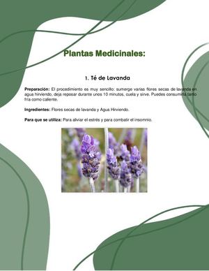 Plantas Medicinales